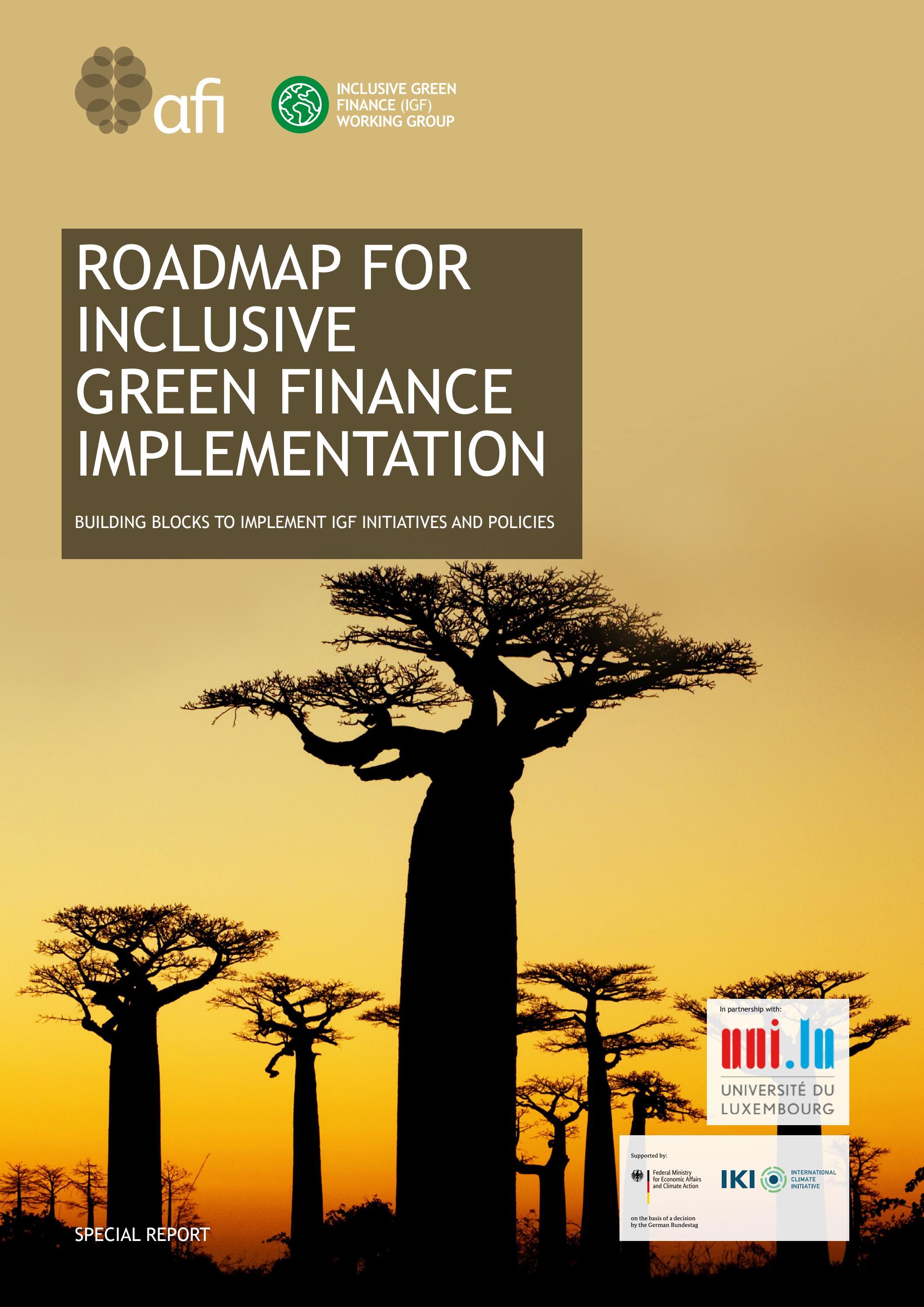 Roadmap for Inclusive Green Finance Implementation by Alliance for ...