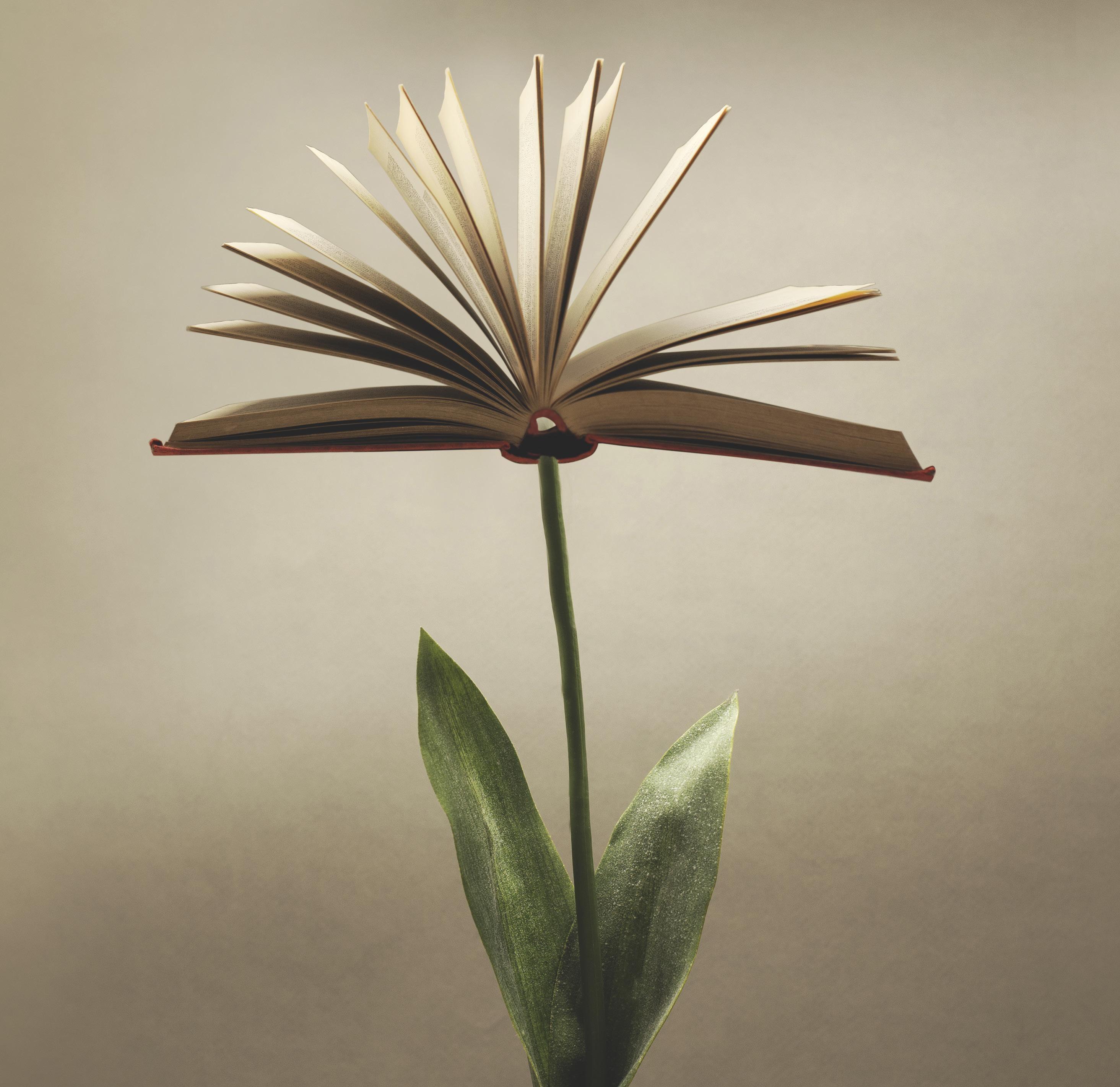 Libraries Unlimited Textbook Catalog Apr-Jun 2023 by Bloomsbury ...