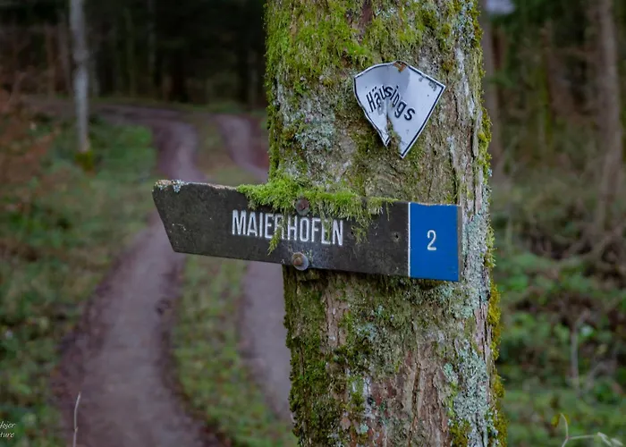 Bestes Hotel Maierhöfen für erholsamen Naturgenuss