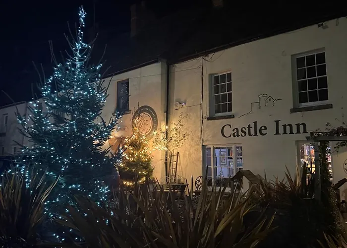Top Dog Friendly Accommodations in Newport, Wales